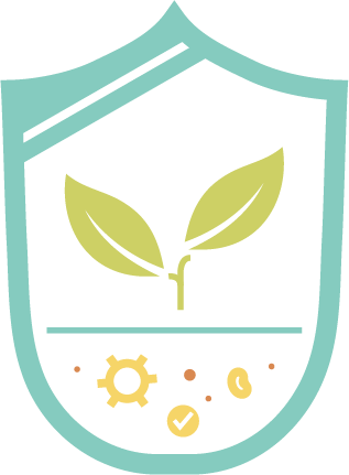  Image Services