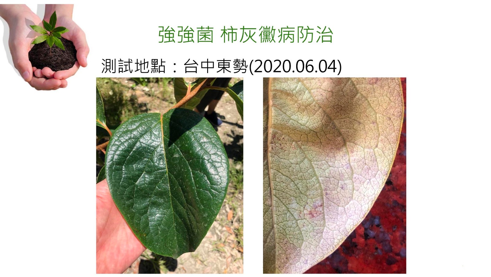 螢幕快照 2021-05-12 下午12.59.24拷貝.jpg